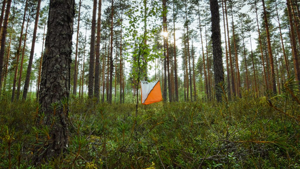Itärastit alkavat, tule nauttimaan keväisestä luonnosta